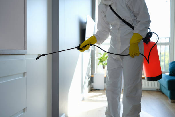 Reliable Baxter, MN Mold Remediation Solutions
