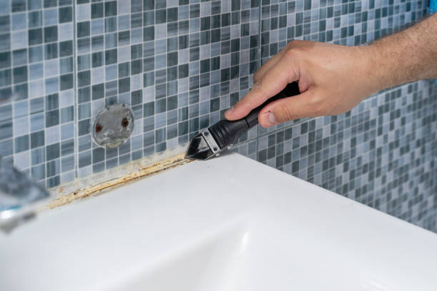 Best Health and Safety Mold Remediation in Baxter, MN
